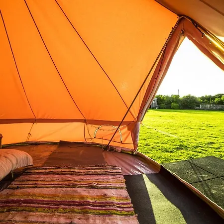 The Paddock Wildcamp Hotel Perranporth Exterior photo