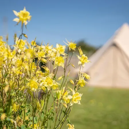 The Paddock Wildcamp Hotel Perranporth Exterior photo