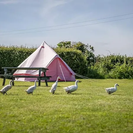The Paddock Wildcamp Hotel Perranporth Exterior photo