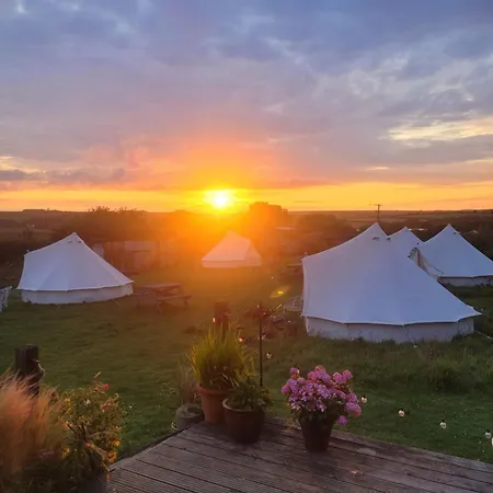 The Paddock Wildcamp Hotel Perranporth Room photo