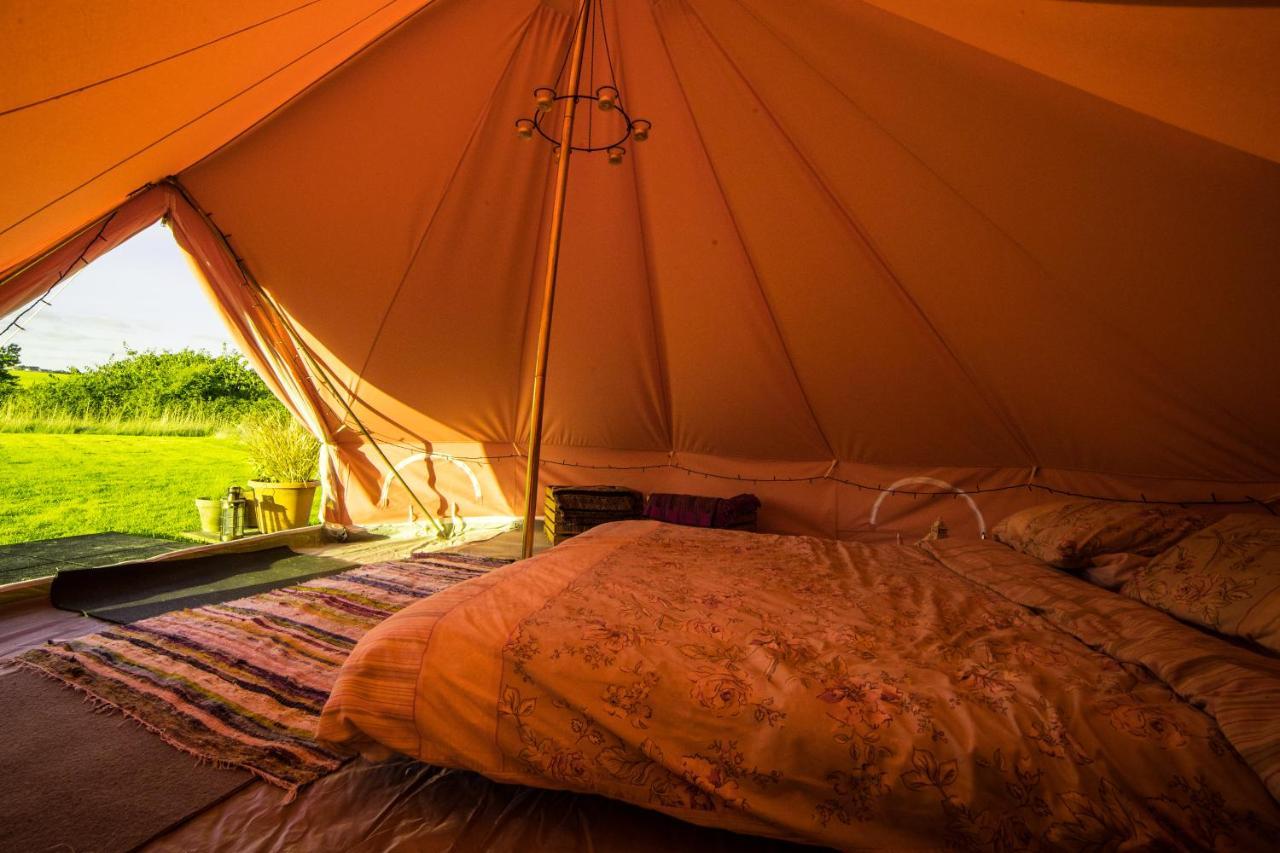 The Paddock Wildcamp