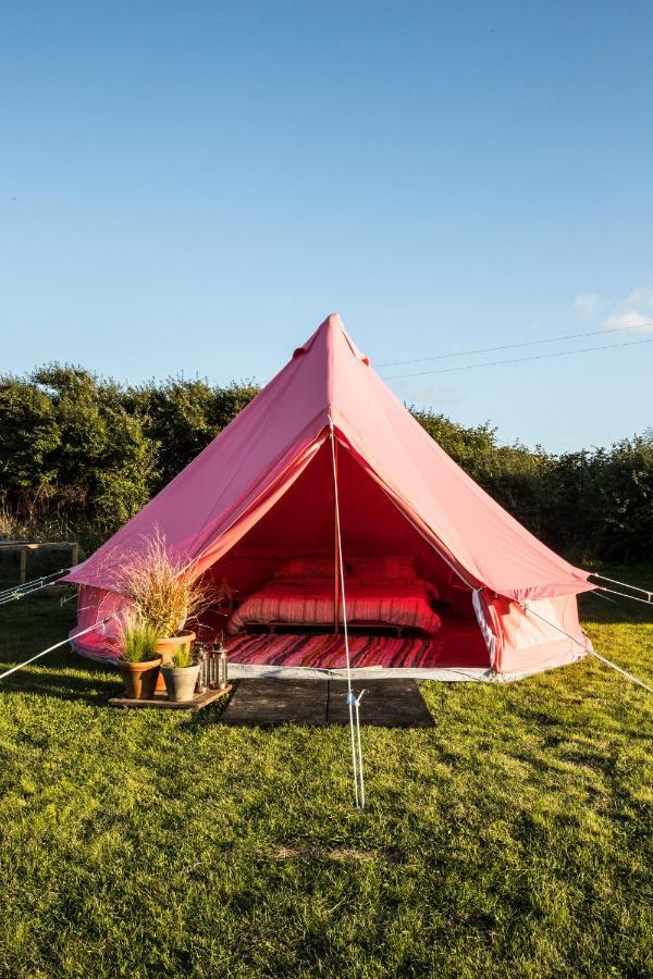 Luxury tent The Paddock Wildcamp *