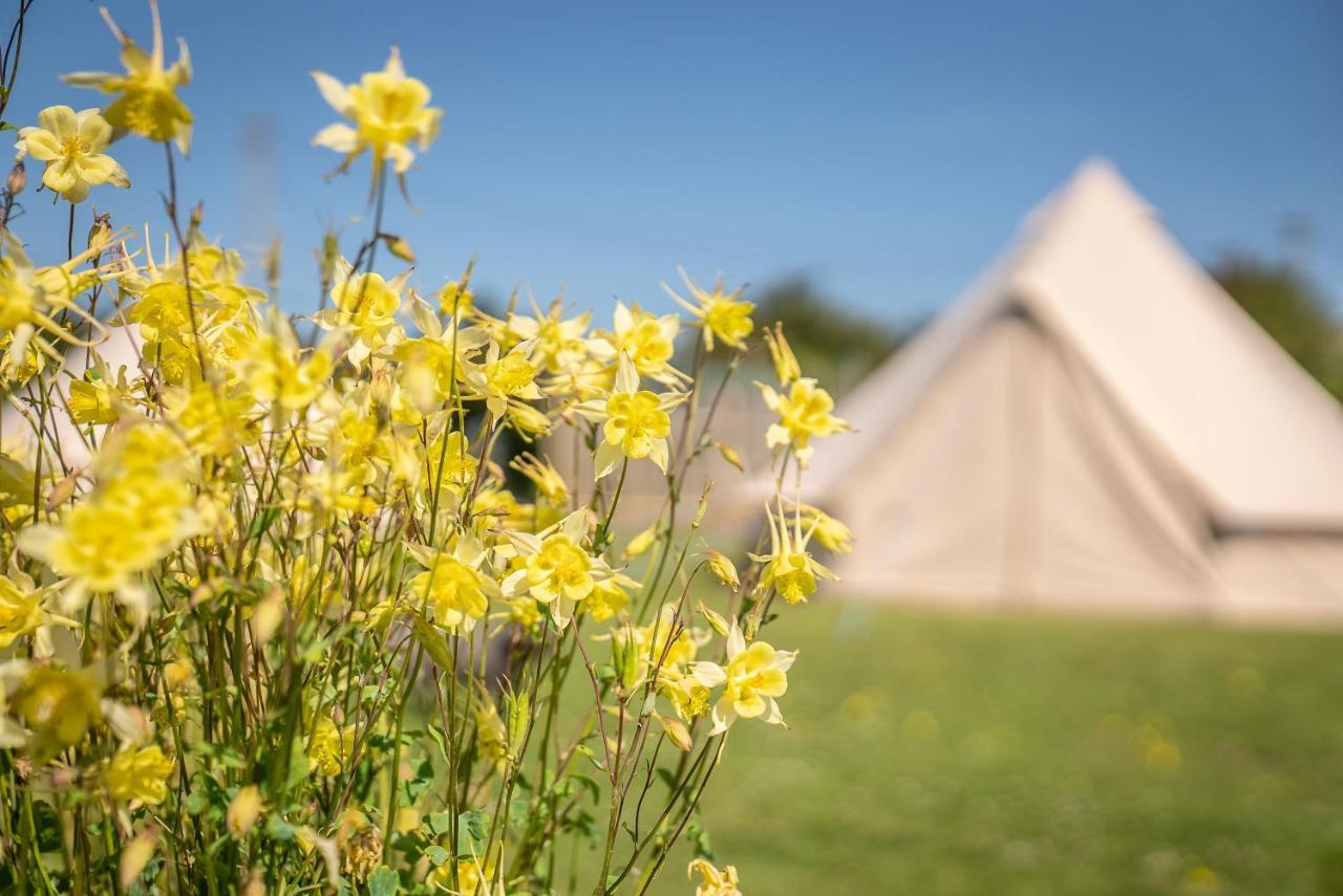 Luxe tent The Paddock Wildcamp *