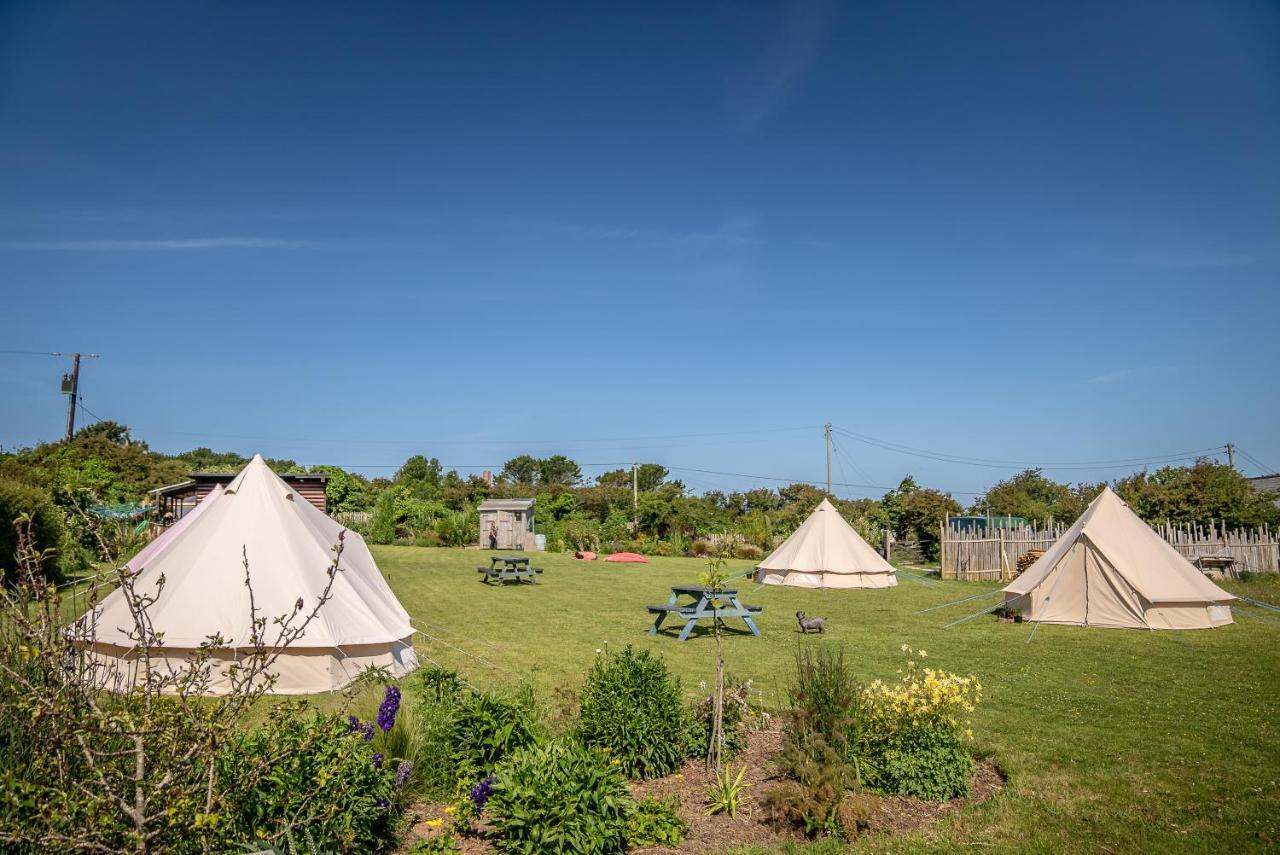 The Paddock Wildcamp