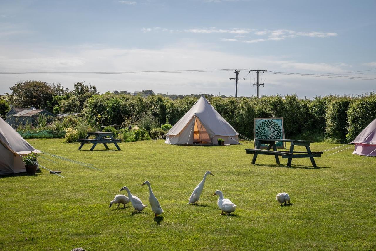 The Paddock Wildcamp Luxury tent *