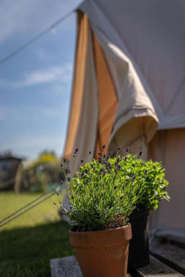 The Paddock Wildcamp Perranporth