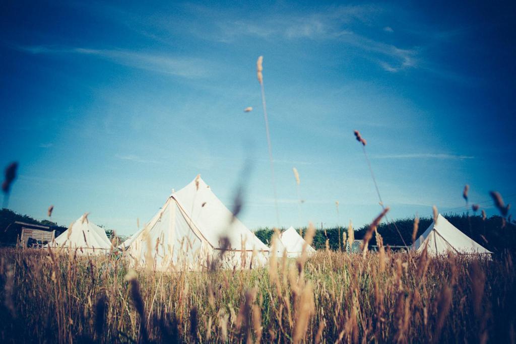 The Paddock Wildcamp Luxury tent *