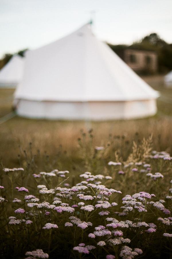 The Paddock Wildcamp * Perranporth