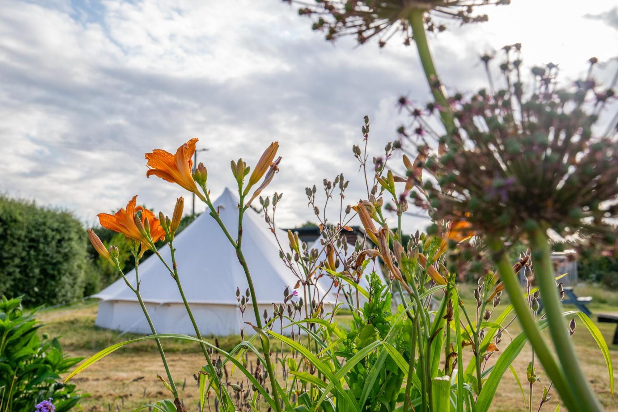 The Paddock Wildcamp * Perranporth