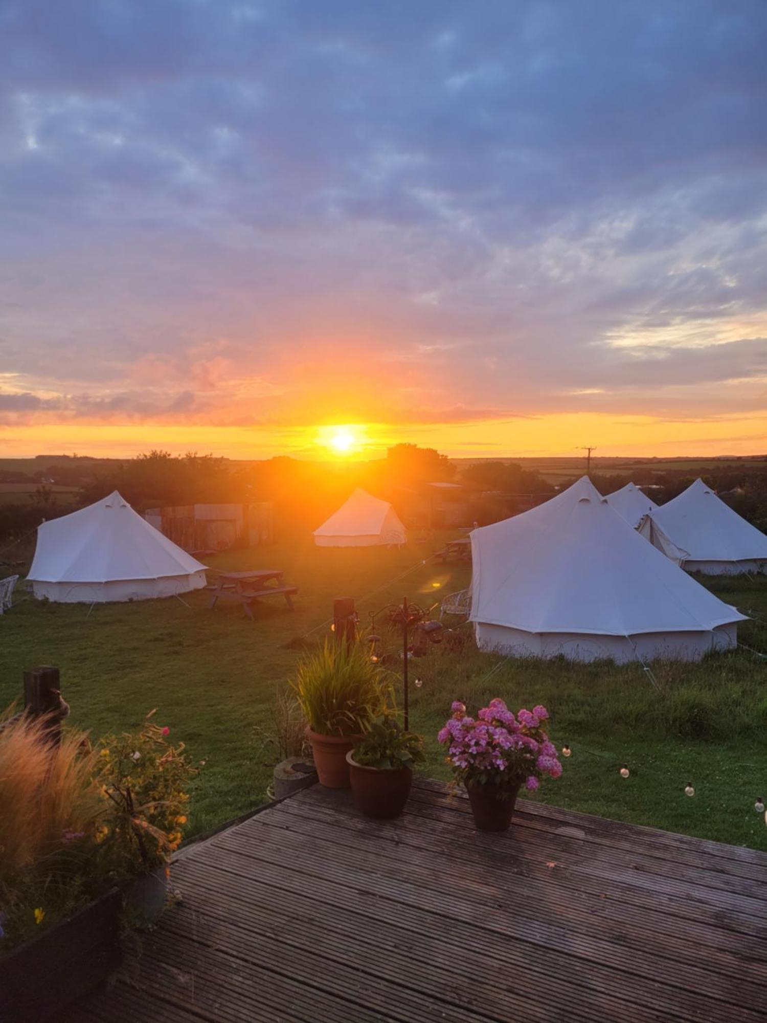 The Paddock Wildcamp Luxury tent *